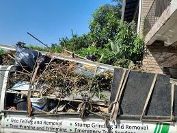 Best Residential Junk Removal  in Nashville, IN